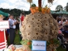 dożynki gminne (30)