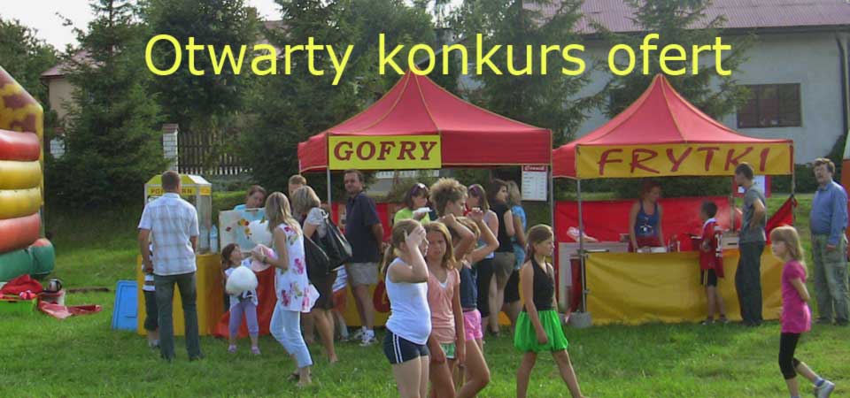 Otwarty konkurs ofert – rozstrzygnięcie!