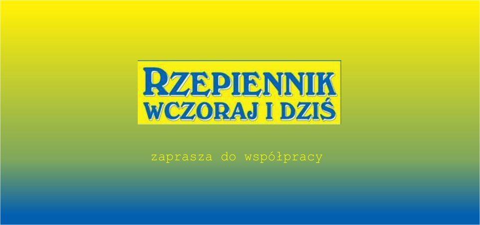 Czekamy na Państwa oferty!