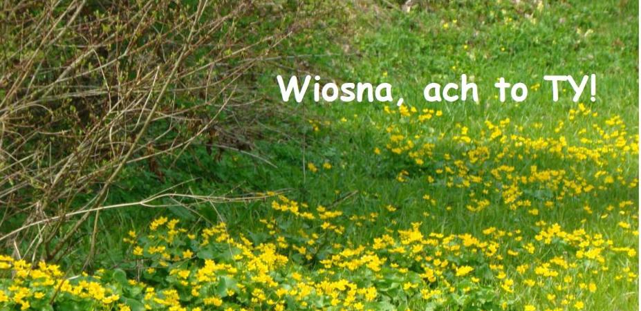 W poszukiwaniu wiosny…