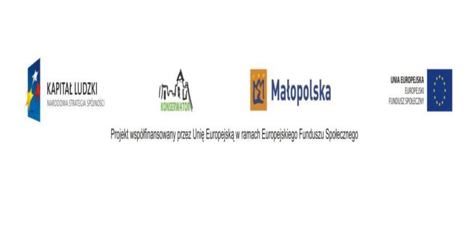 Rozpoczęła się realizacja projektu KONSERWATOR