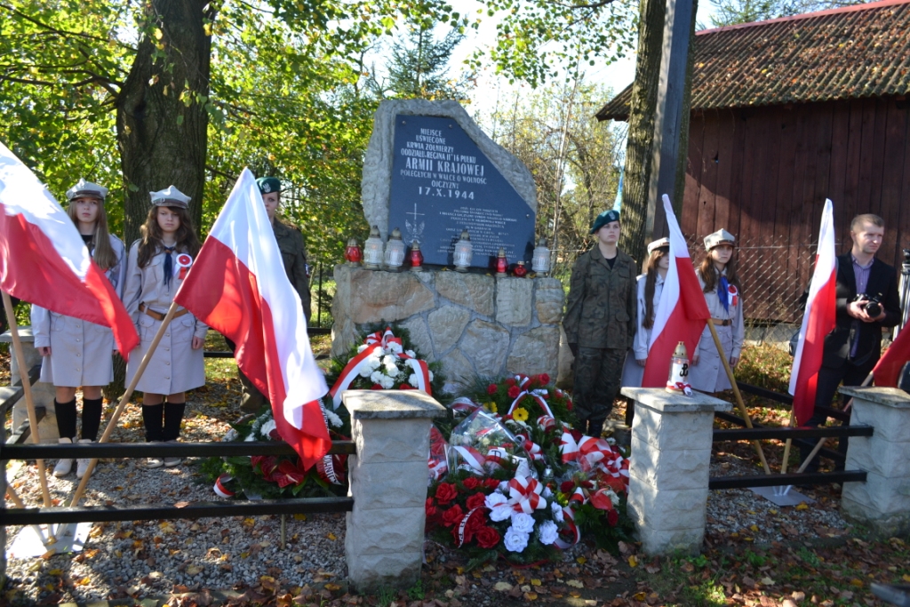 Manifestacja Patriotyczna w Dąbrach
