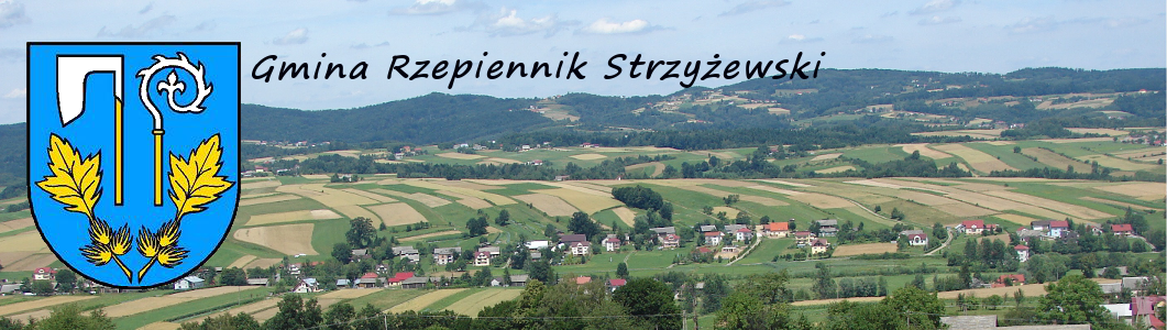 Ogłoszenia i zamówienia