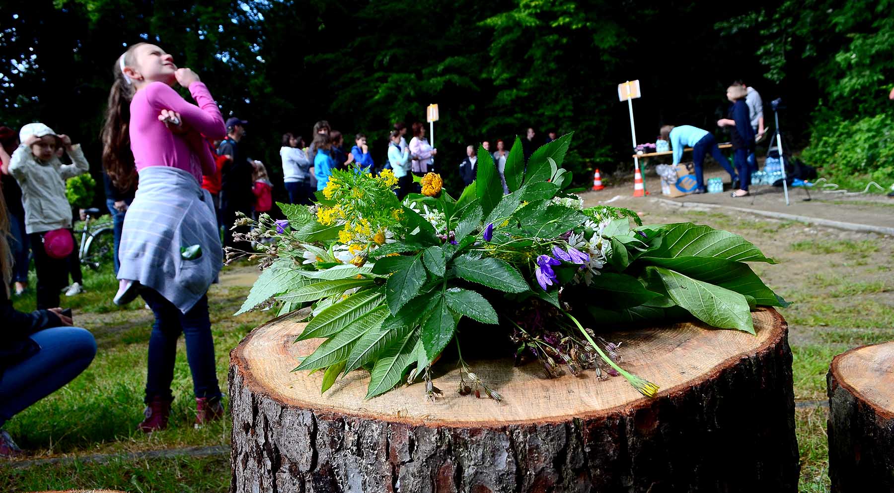 Po Koronę Jej Wysokości Brzanki
