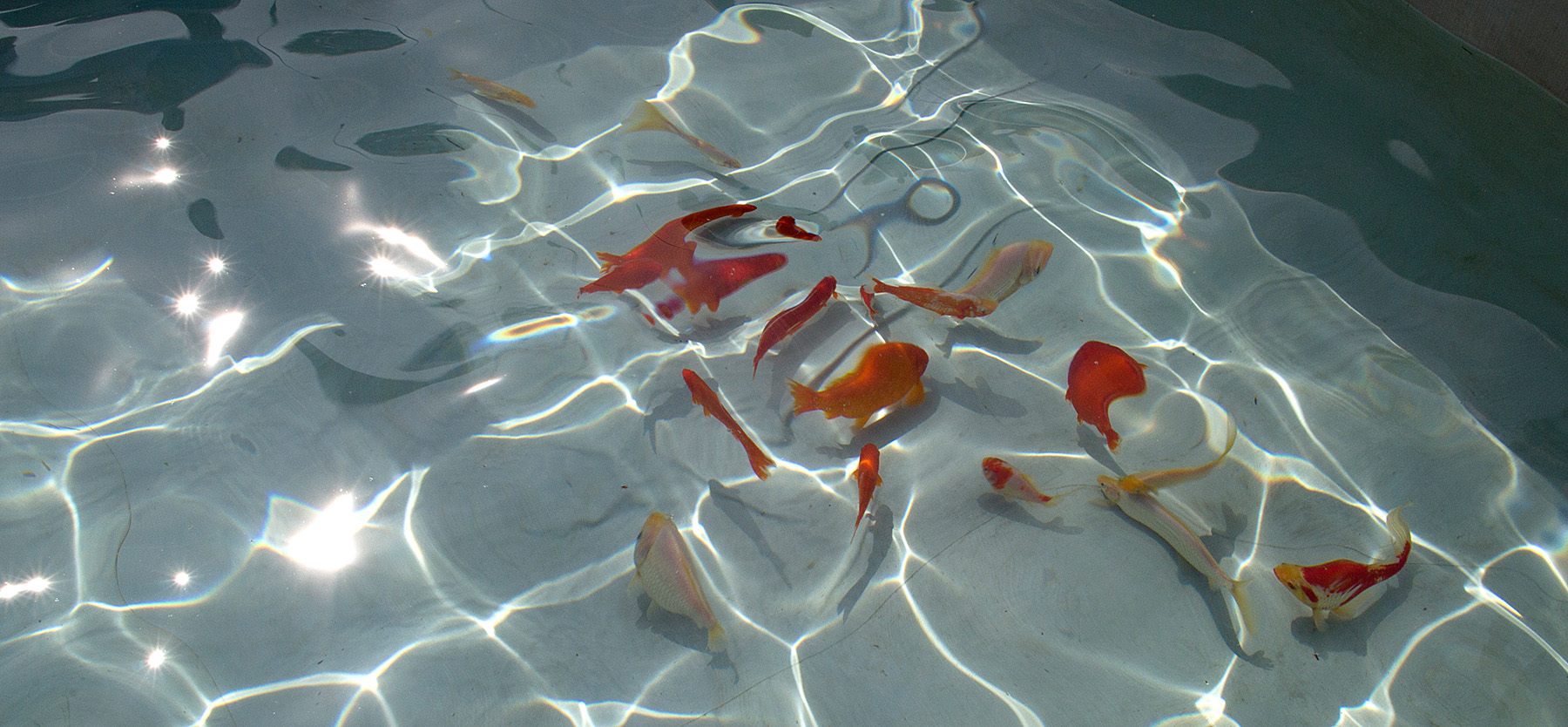 Każdy może nad morze