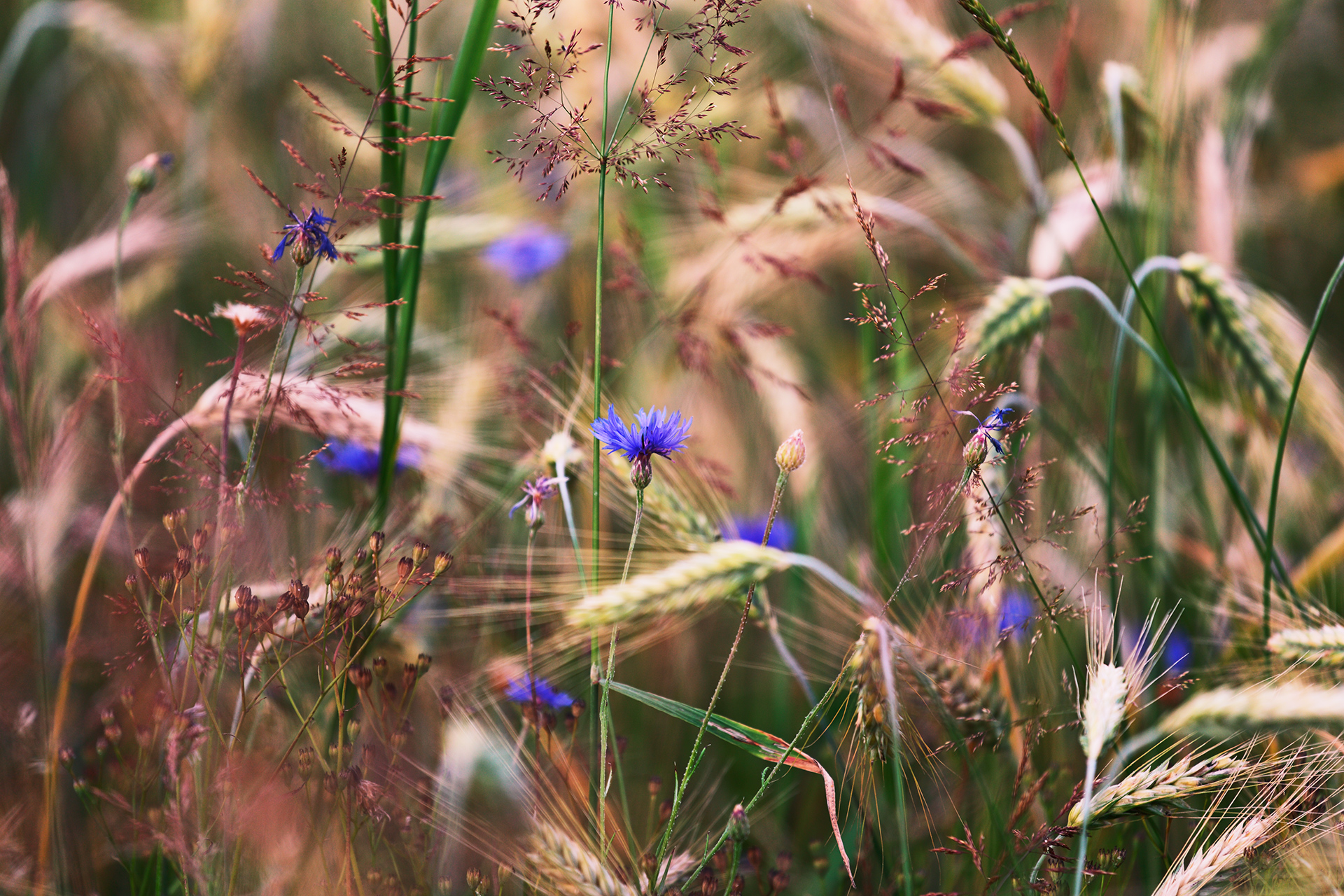 Zapraszamy do współpracy lokalnych twórców