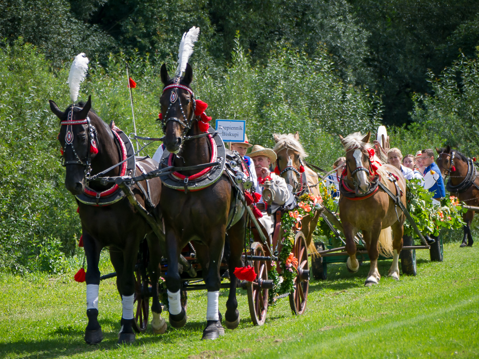 Dożynki Gminne 2016