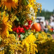 Dożynki gminne część II