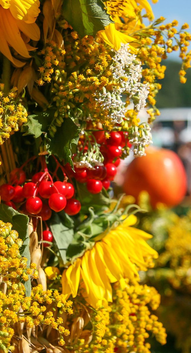 Dożynki gminne część II