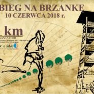 IV Bieg na Brzankę
