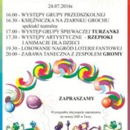 Niedzielny Piknik w Turzy